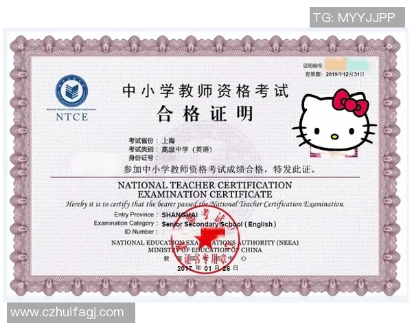 探索体育与健康教师资格证的重要性与职业发展路径分析